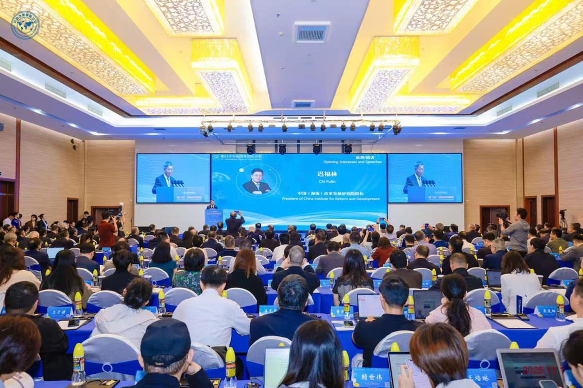 王树柏副教授受邀出席第91次中国改革国际论坛